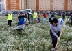 Жители челябинского микрорайона решили самостоятельно построить школу: "администрация не хочет ничего делать" Жители челябинского микрорайона решили самостоятельно построить школу: "администрация не хочет ничего делать"