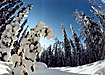 (2006) | Фото: www.isurgut.ru (2006) | Фото: www.isurgut.ru