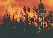 (2004) | Фото: dni.ru (2004) | Фото: dni.ru