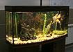 (2011) | Фото:Накануне.RU (2011) | Фото:Накануне.RU