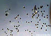 митинг нижний тагил (2011) | Фото: Накануне.RU митинг нижний тагил (2011) | Фото: Накануне.RU