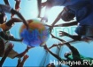 презентация екатеринбурга экспо-2020 (2012) | Фото:Накануне.RU презентация екатеринбурга экспо-2020 (2012) | Фото:Накануне.RU