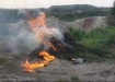 В Чебаркуле уничтожили огромное поле конопли. На это ушло несколько дней В Чебаркуле уничтожили огромное поле конопли. На это ушло несколько дней