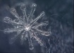 Снежинка, снег, холод, погода, холодная погода, зима (2013) | http://gogouua.ya.ru Снежинка, снег, холод, погода, холодная погода, зима (2013) | http://gogouua.ya.ru