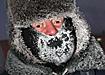 (2005) | Фото: foto.gazetazp.ru (2005) | Фото: foto.gazetazp.ru