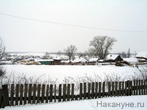 гари | Фото: Накануне.ru