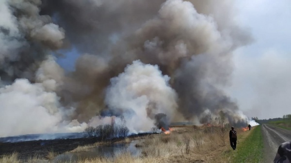 лесные пожары в Тюменской области (2021) | Фото: t.me/operativnyishtabtyumen