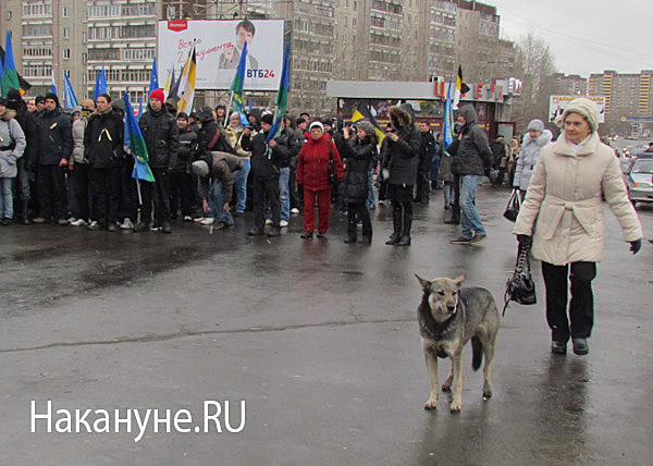 русский марш екатеринбург собака | Фото: Накануне.RU