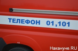 пожар Равис птицефабрика|Фото: ГУ МЧС РФ по Челябинской области