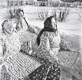 |Фото: Грахов Анатолий |Фото: Грахов Анатолий