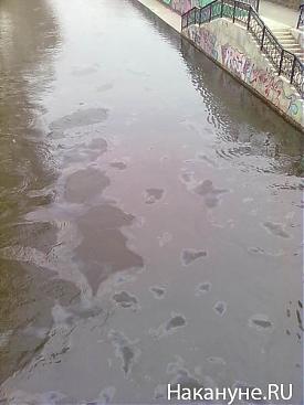 нефть пятна исеть река загрязнение|Фото: Накануне.RU