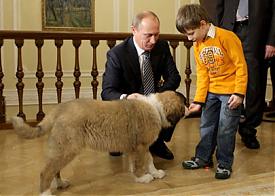 путин владимир собака баффи|Фото: premier.gov.ru