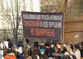 митинг против фальсификации выборов, екатеринбург |Фото: