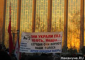 митинг, новосибирск|Фото: Накануне.RU