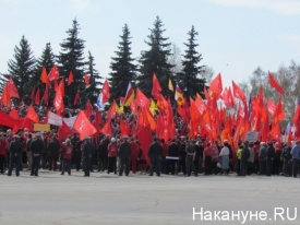 ульяновск, митинг, база нато|Фото: Накануне.RU