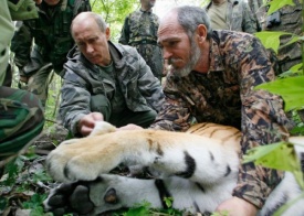 путин тигрица|Фото: