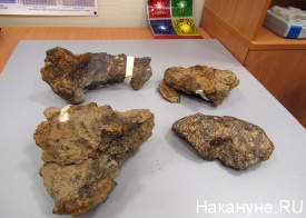 метеорит|Фото: Накануне.ru