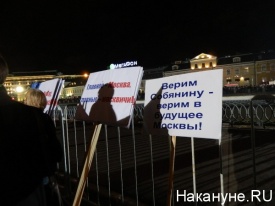 митинг в поддержку Сергея Собянина, 08.09.13, плакаты|Фото: Накануне.RU