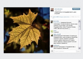 медведев украл фото, инстаграм|Фото: