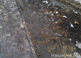 лужи, грязь, снег, уборка, Екатеринбург|Фото: Накануне.RU лужи, грязь, снег, уборка, Екатеринбург|Фото: Накануне.RU