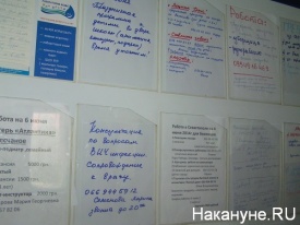 Севастополь, беженцы, работа, объявления|Фото:Накануне.RU