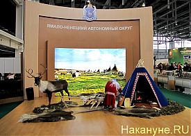 Агропромышленный форум, выставка, Ямало-Ненецкий автономный округ|Фото: Накануне.RU