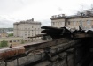 Фото: Накануне.RU