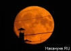 луна полнолуние месяц (2017) | Фото: Накануне.ru