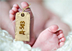 коллаж, младенец, новорожденный, бирка, Д-503, Замятин (2018) | Фото: Накануне.RU