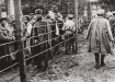 польские лагеря смерти, Вторая мировая война, Польша, геноцид, холокост (2018) | Фото: RT на русском