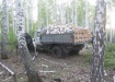 Фото:УМВД России по Курганской области