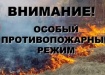 особый противопожарный режим, природные пожары, лесной пожар (2018) | Фото: ГУ МЧС России по Пермскому краю