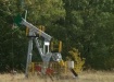 Фото:Накануне.RU