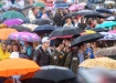 дождь зонтик горожане праздник толпа россияне горожане (2019) | Фото:ДИП Свердловской области