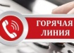 горячая линия, коллаж, телефон (2020) | Фото: пресс-служба правительства Вологодской области