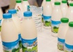 молоко, молочная продукция, бутылка, нижневартовск (2020) | Фото: пресс-служба администрации Нижневартовска