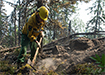 Тушение пожара в заповеднике Денежкин камень (2020) | Фото: российское отделение Гринпис
