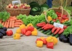 яблоки, перец, огурец, морковь, капуста, салат, баклажан, сельское хозяйство, овощи, продукты (2020) | Фото: vologda-oblast.ru