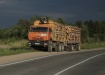 вывоз леса, лес-кругляк (2020) | Фото: vologda-oblast.ru