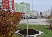 Свердловская область вошла в десятку регионов-лидеров по реализации проекта «Формирование комфортной городской среды»