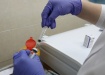 вакцина Гам-Ковид-Вак, Спутник V, прививка (2021) | Фото: Пресс-служба УГМК