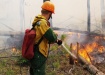 лесные пожары в Тюменской области (2021) | Фото: t.me/operativnyishtabtyumen