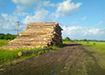 Вырубки леса в Коптелово (2021) | Фото: источник Накануне.RU