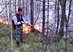 Природный пожар под Первоуральском (2021) | Фото: ГУ МЧС России по Свердловской области