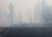лесной пожар рядом с селом Мансурово (2021) | Фото: администрация Кунашакского района