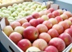 яблоки, урожай, фрукты, торговля, апк, сельское хозяйство (2021) | Фото: пресс-служба администрации Краснодарского края