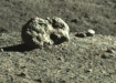 Таинственный объект на обратной стороне Луны, камень (2022) | Фото: Китайское космическое агентство (CNSA)