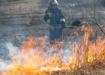 Лесной пожар (2022) | Фото: пресс-служба правительства Новосибирской области