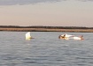 Самолет упал в озеро (2022) | Фото: Уральская транспортная прокуратура