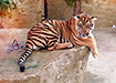 Фото: Накануне.RU